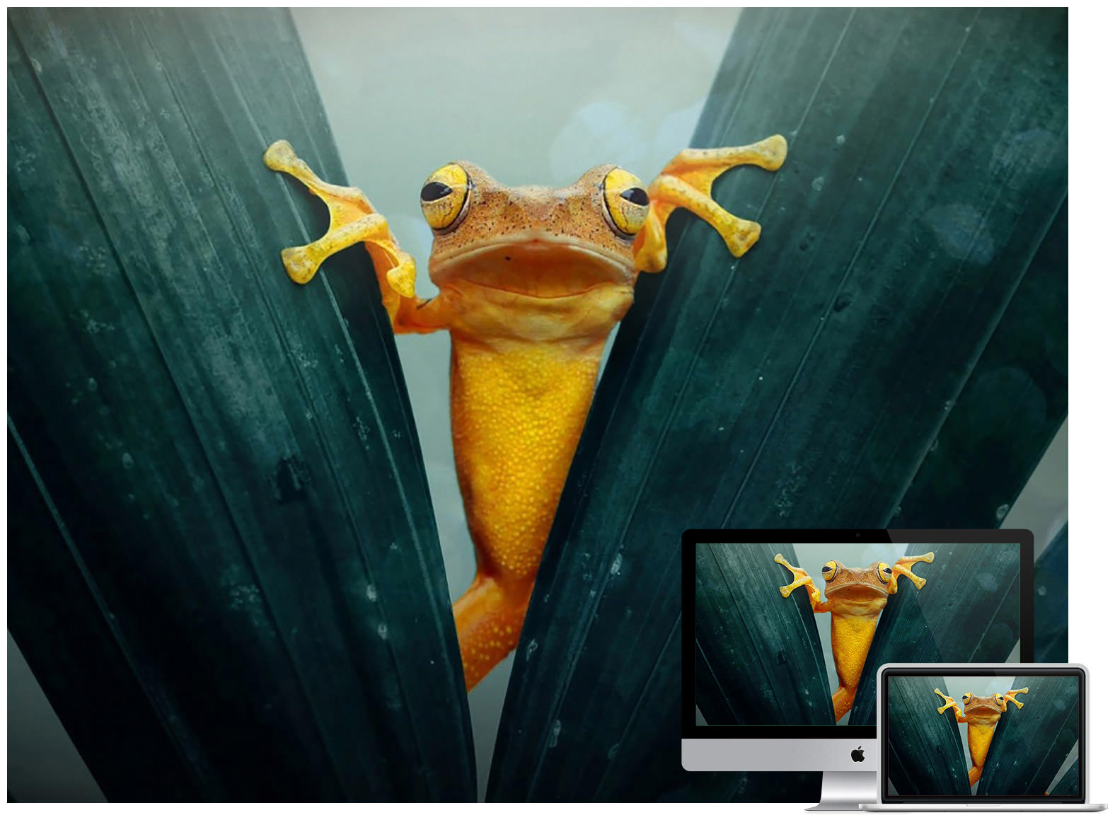 3d animal wallpapers for windows 7