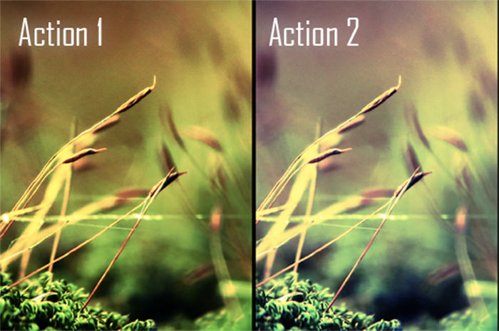 Warfield Photoshop Action