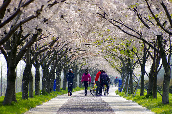 maekdo-ecological-park