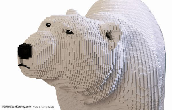 polar bear