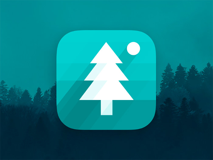 in-the-woods-app-icon