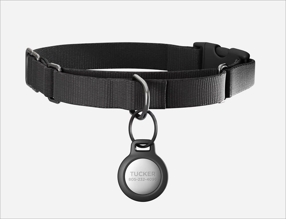 Moment Rugged Pet Tag