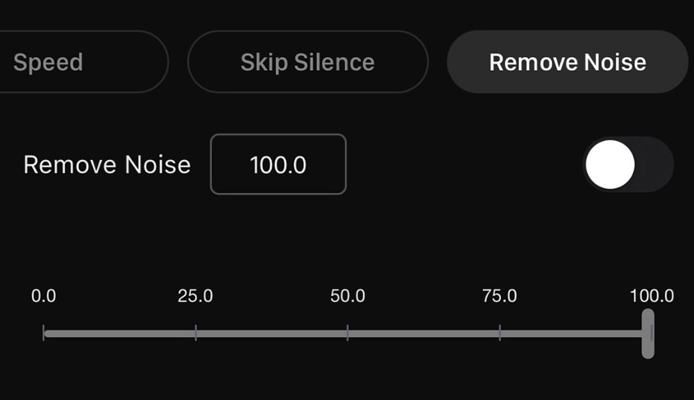 Noise Removal Tool in AudiOn