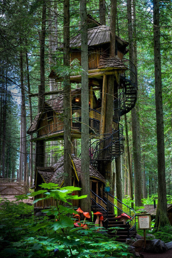 The Enchanted Forest Treehouse