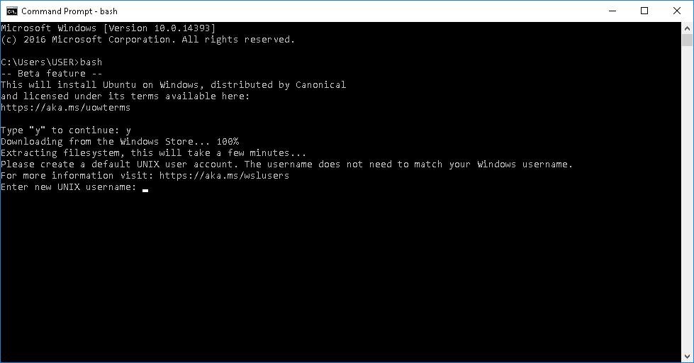 download bash shell for windows