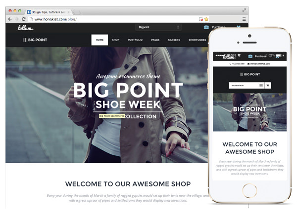 30个美丽且响应Swift的WordPress电子商务主题 30个美丽且响应Swift的WordPress电子商务主题