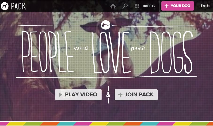 Packdog website video header