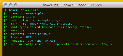 Bower Initialization Options