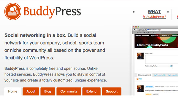 BuddyPress website layout circa 2009 2010