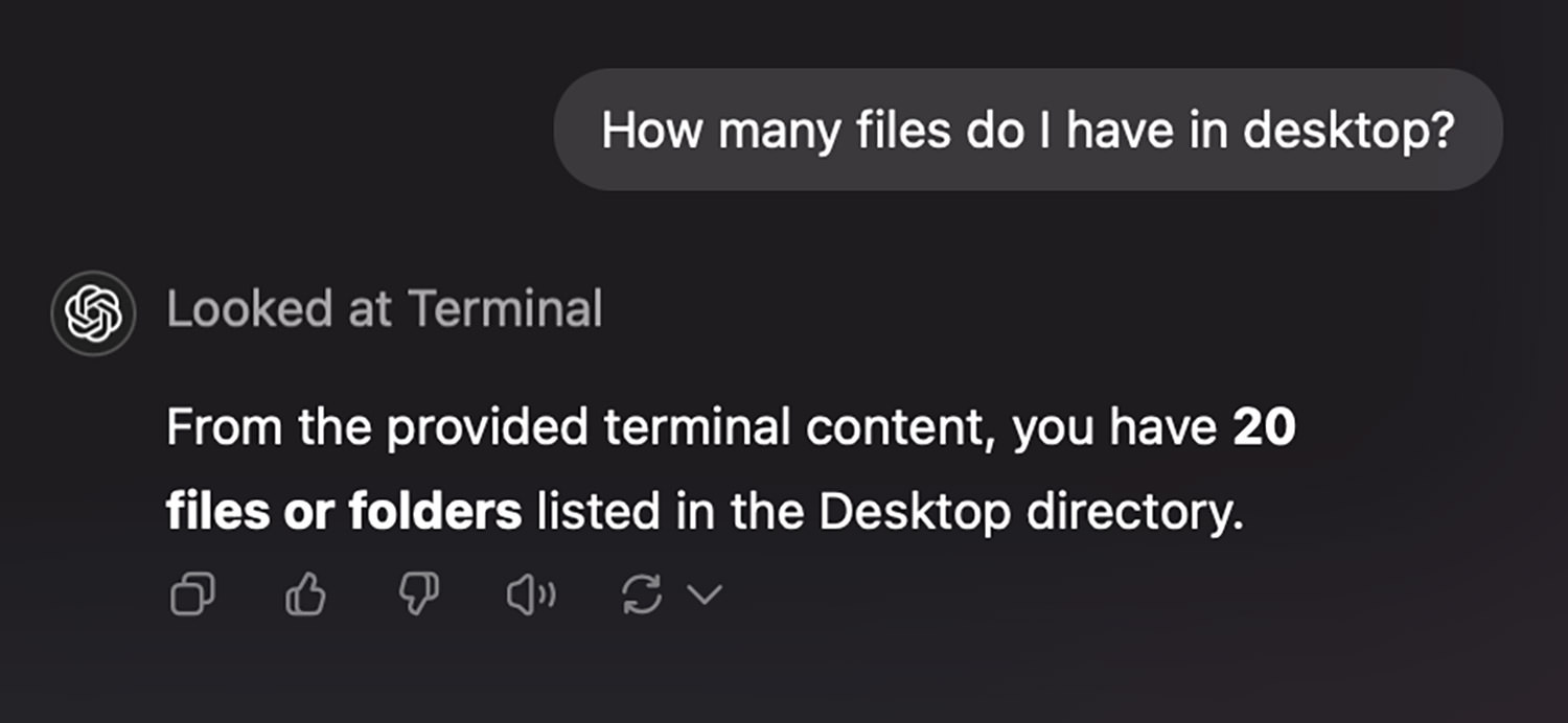 ChatGPT showing file and folder count