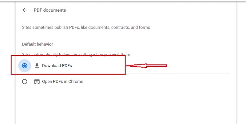 download pdf on chrome