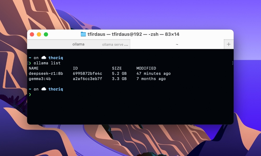Ollama list installed AI models terminal