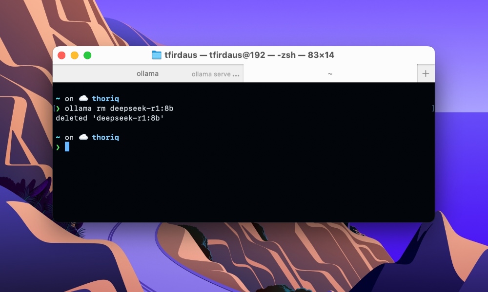 Ollama remove model terminal command