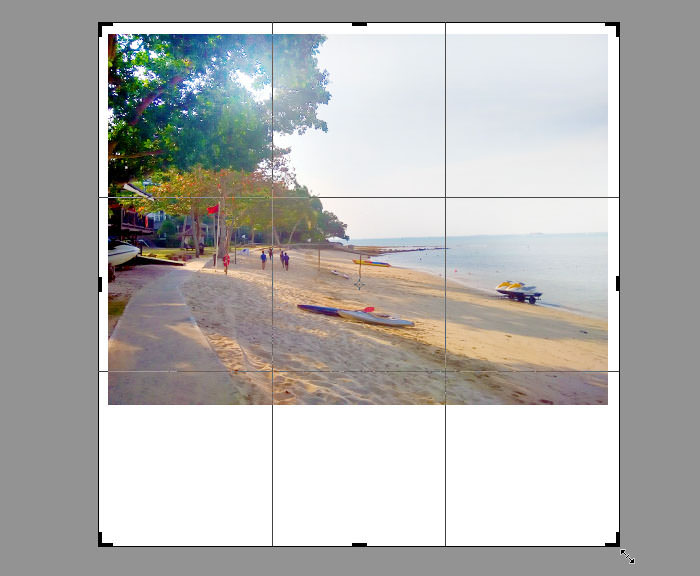 Expand Canvas with Crop Tool