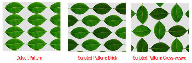 Scripted Pattern