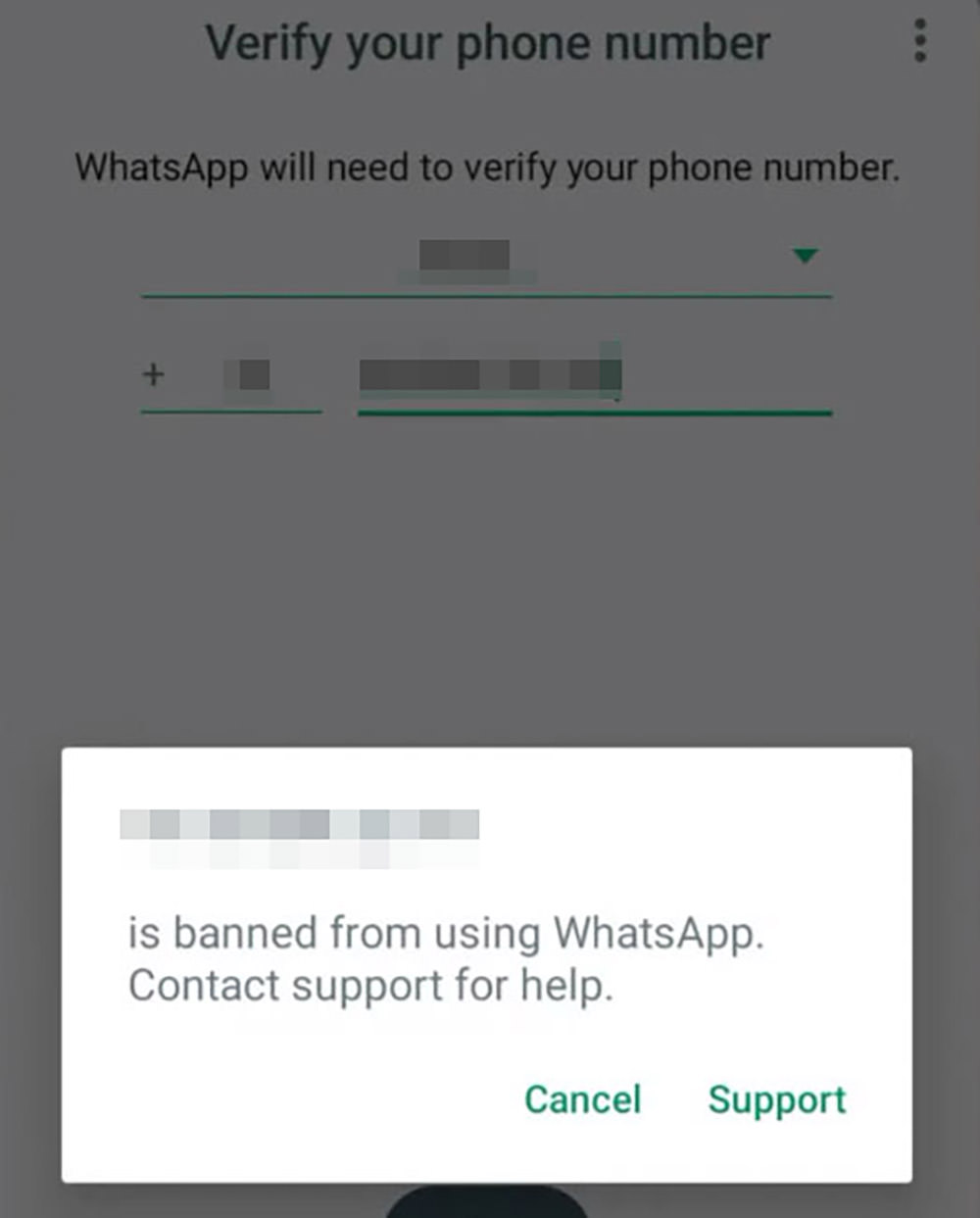 WhatsApp Support Option