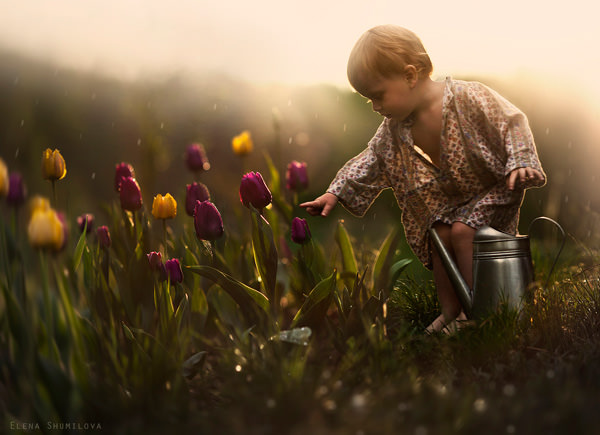 Elena Shumilova Photography