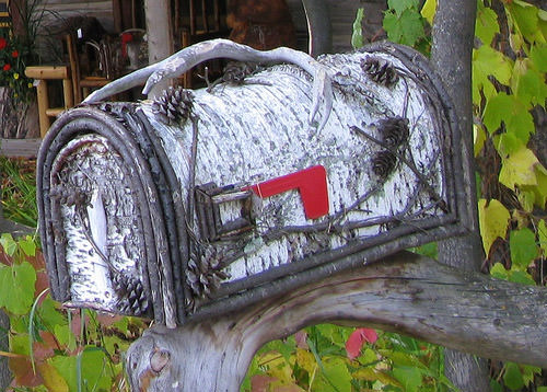 Birch Tree Mailbox