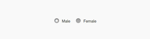 Customize Checkboxes and Radio Buttons with CSS3