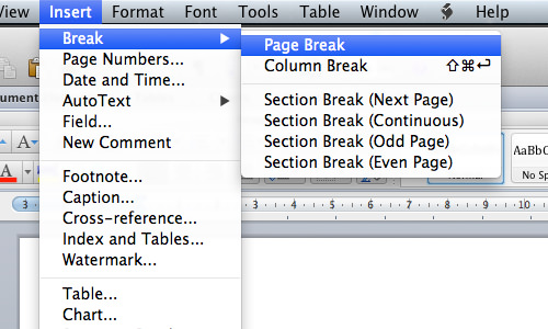 Example of page break in Microsoft Word