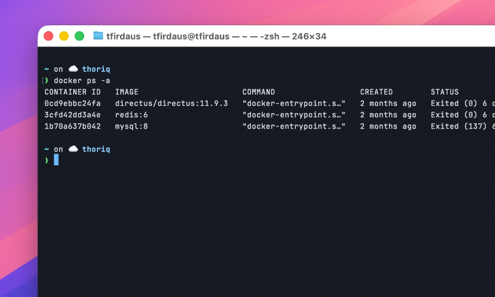 docker ps -a showing stopped container list