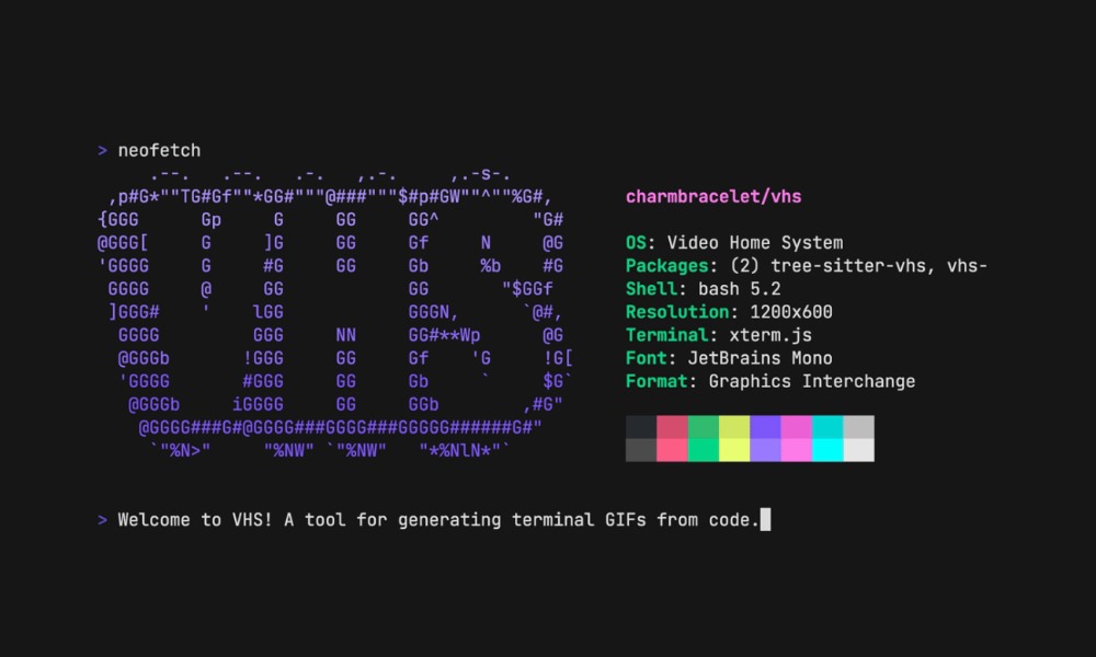 VHS terminal recording tool