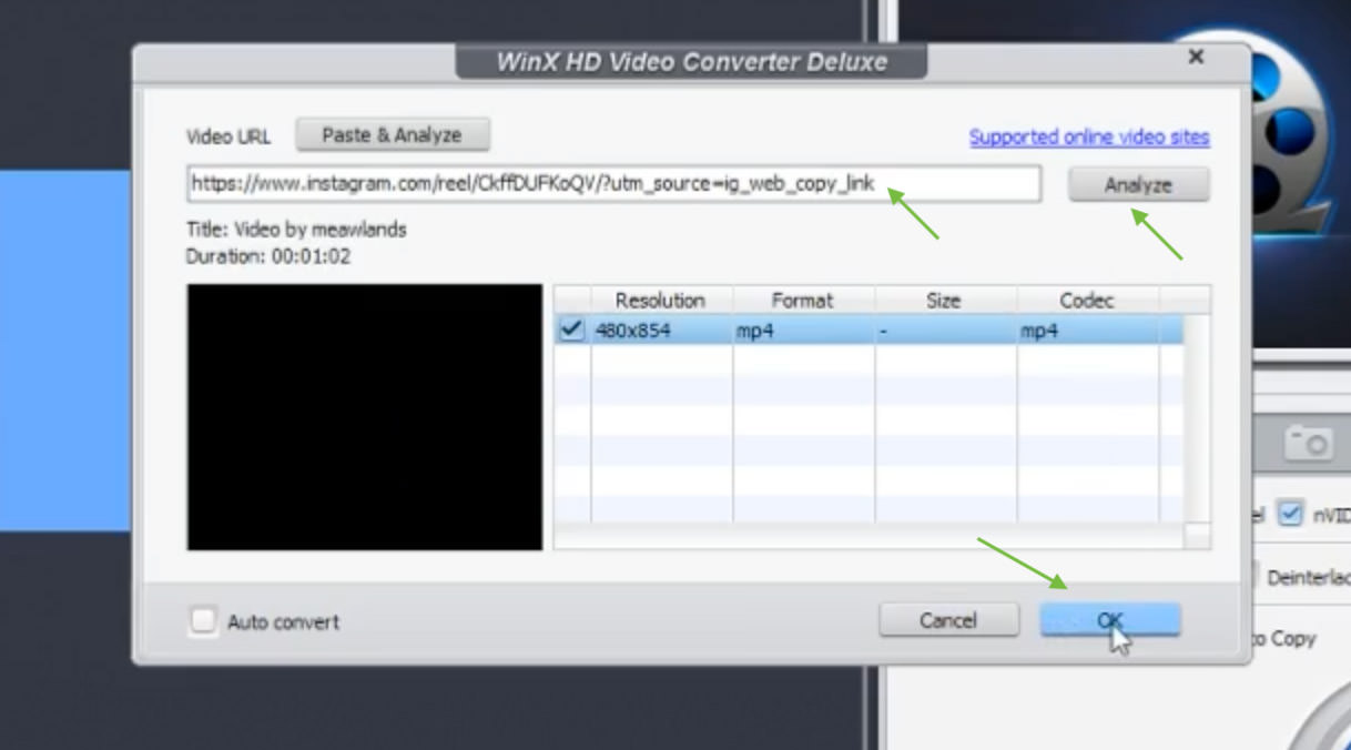 Analyzing the copied video link in WinX Video Converter