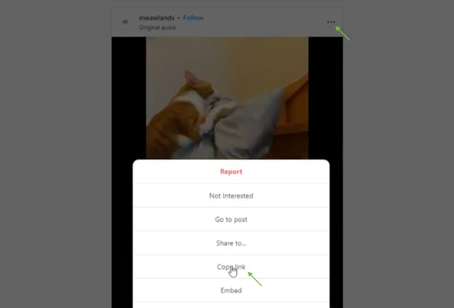 User copying Instagram video link in WinX Video Converter