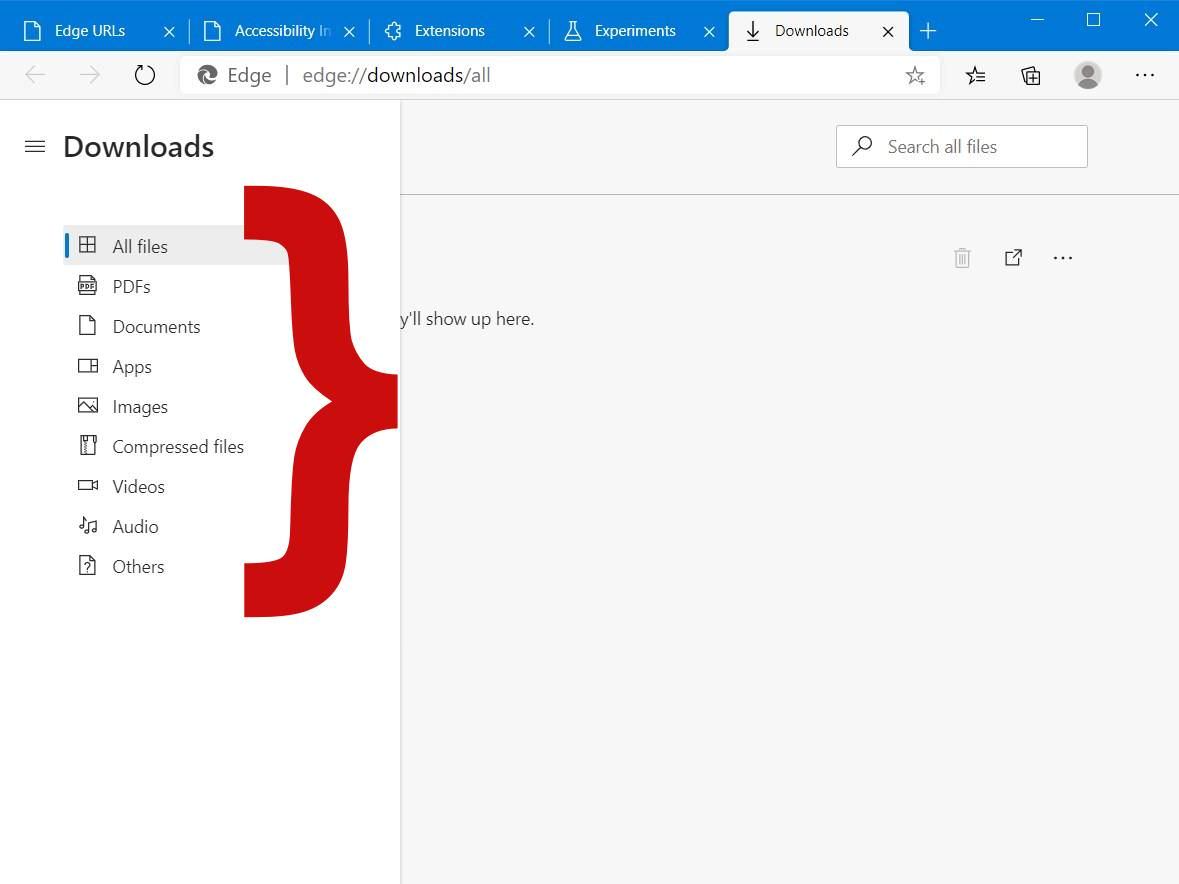 Filter Downloads by File Type in Edge