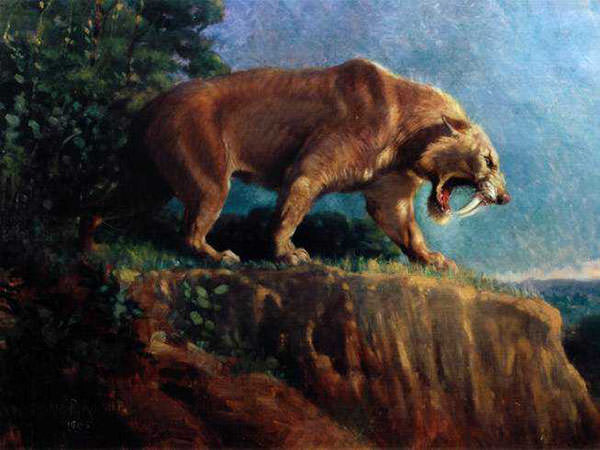 smilodon