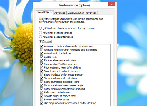 Performance Options