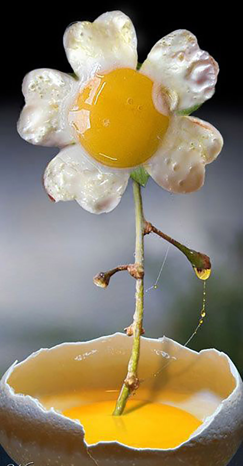 food manipulation photo