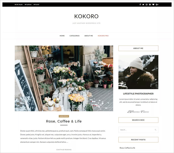 50个免费且外观专业的WordPress主题可供下载 50个免费且外观专业的WordPress主题可供下载