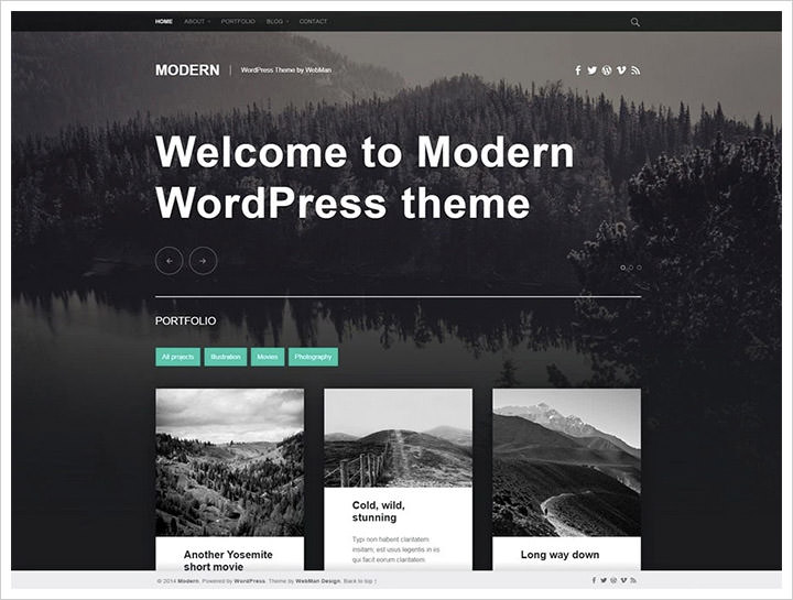 free professional wordpress themes