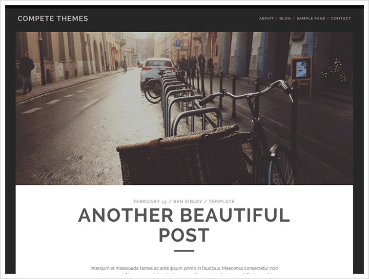 free professional wordpress themes