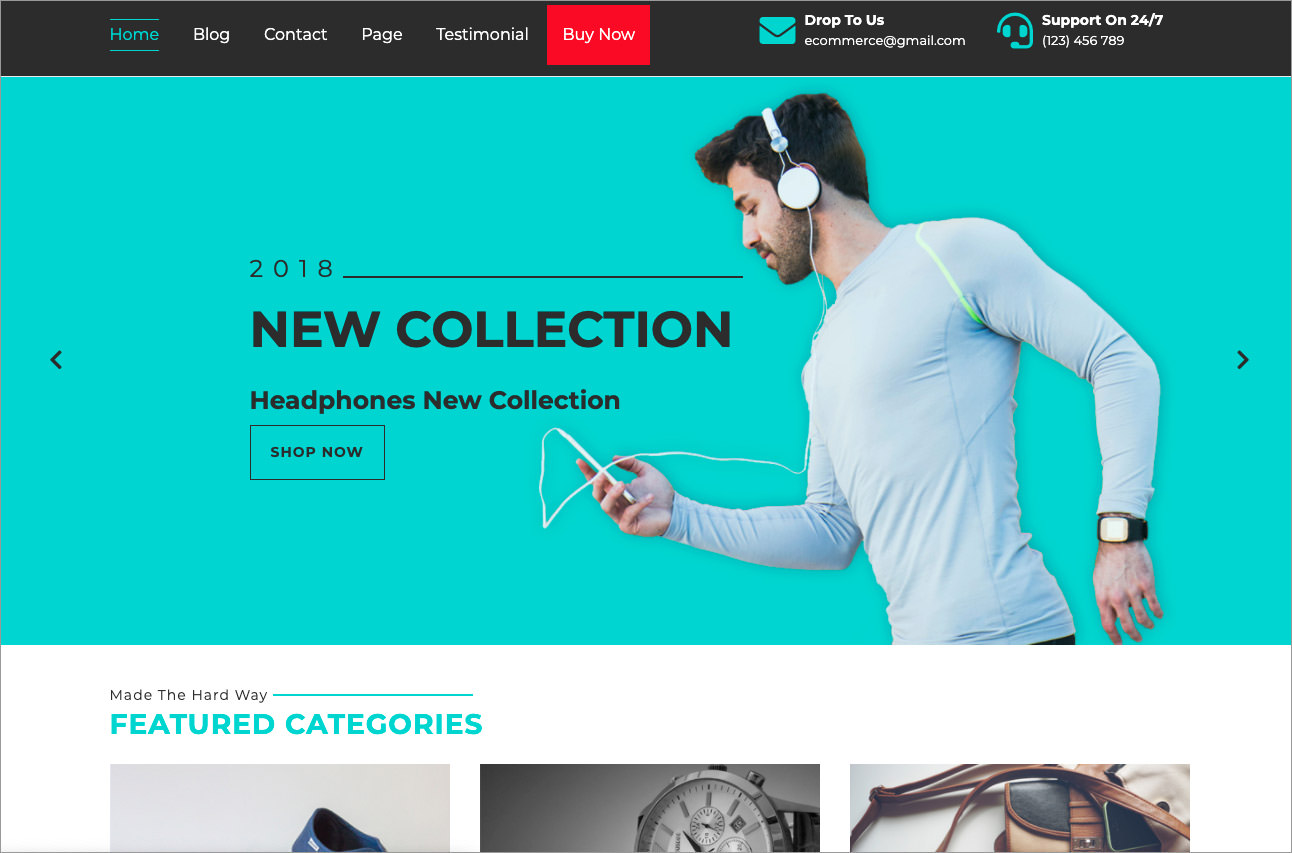 free eCommerce WordPress theme