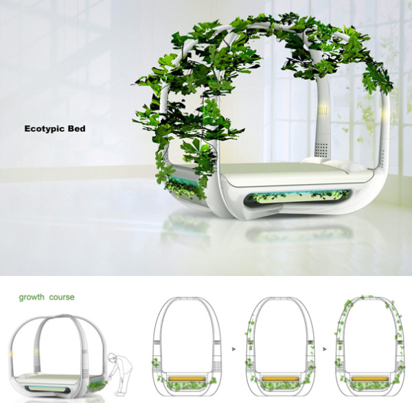 Ecotypic Bed