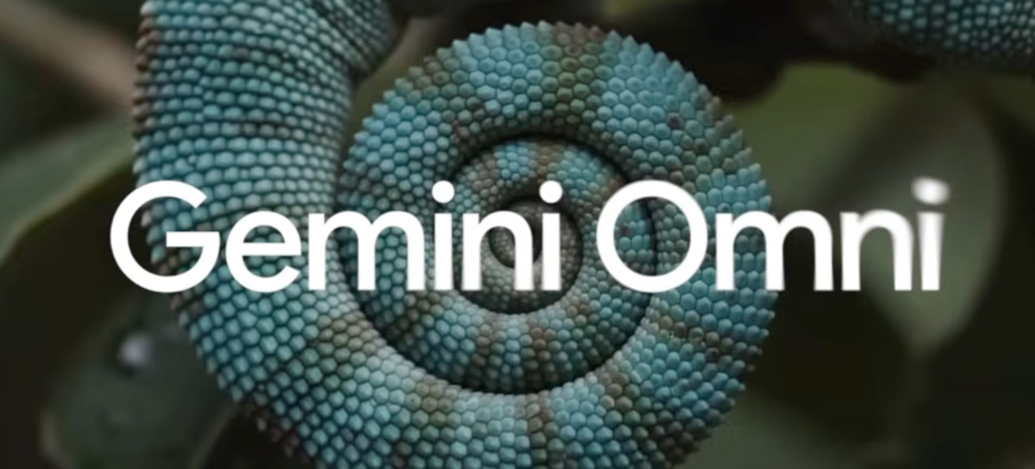 Gemini Omni