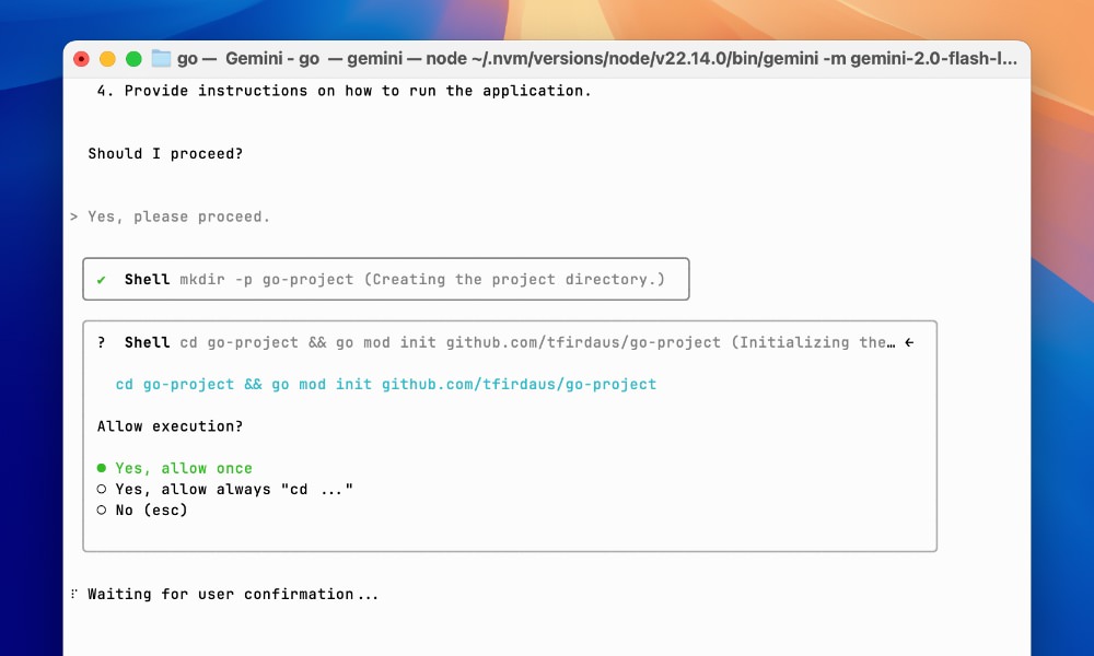 Gemini CLI requesting permissions for scaffolding a new Go project