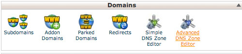 Accessing Advanced DNS Zone Editor in cPanel