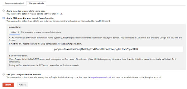 verify dns