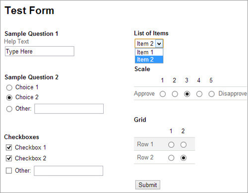 Form Preview