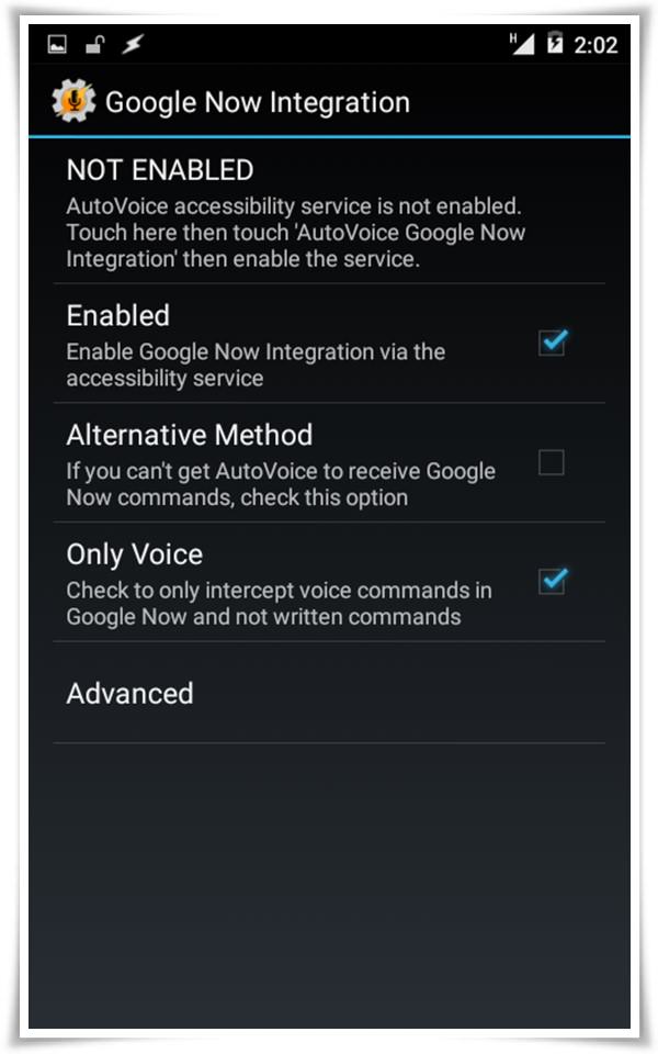 autovoice integration