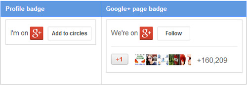 Google+ Badge