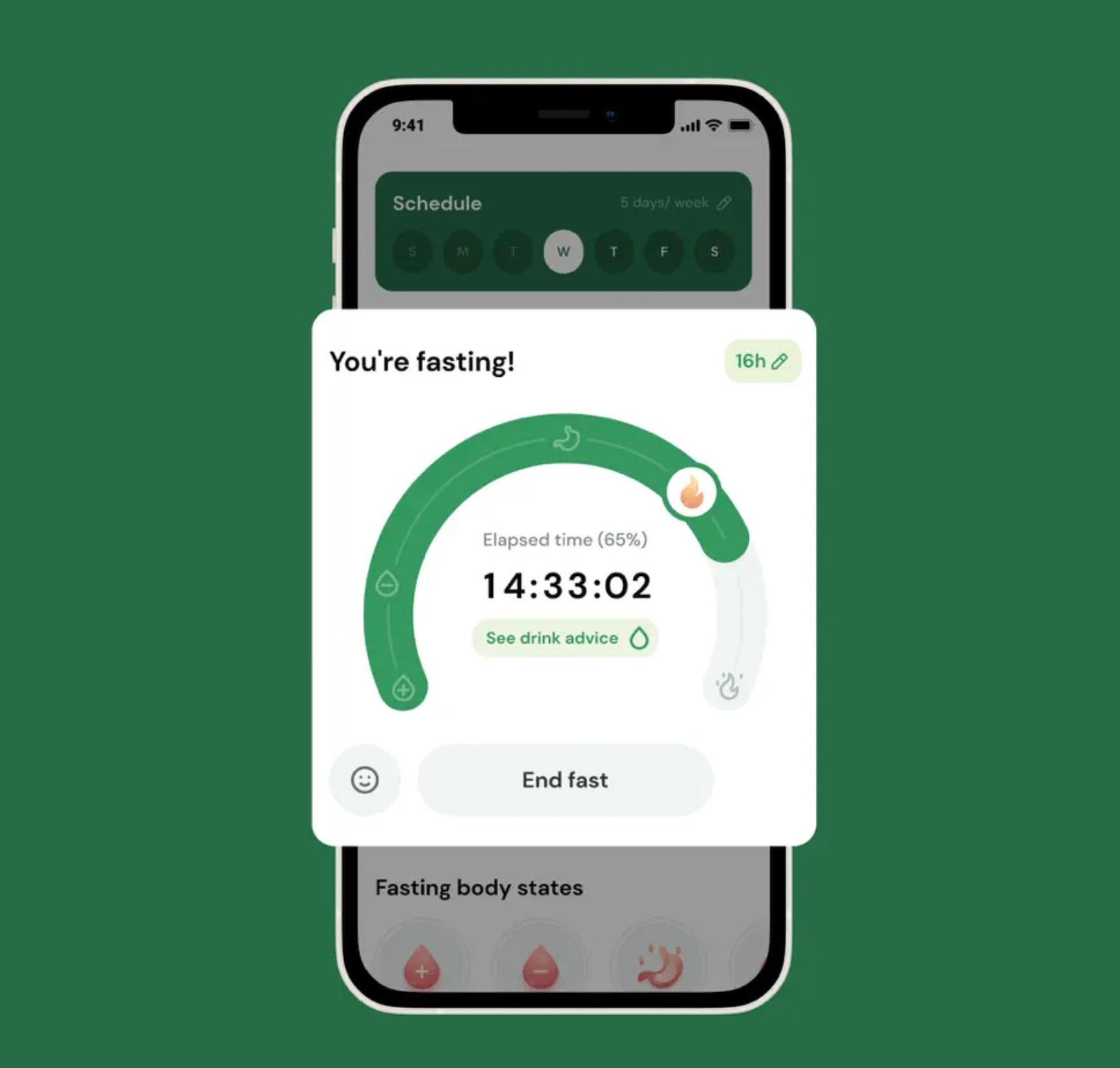 Health App Face Off Lasta Vs Dofasting An In Depth Comparison 