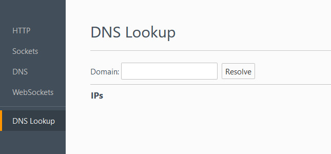 DNS Lookup