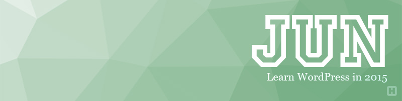 终极12个月学习WordPress指南(加上资源) 终极12个月学习WordPress指南(加上资源)