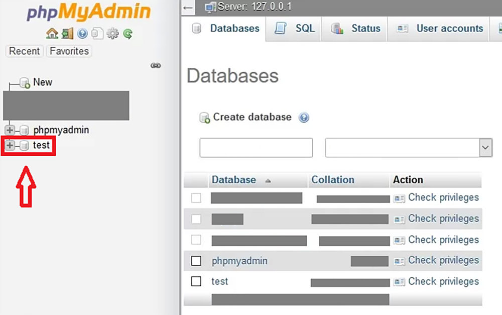 Selecting WordPress database