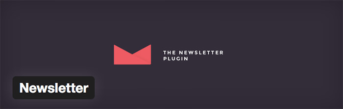 newsletter-plugin