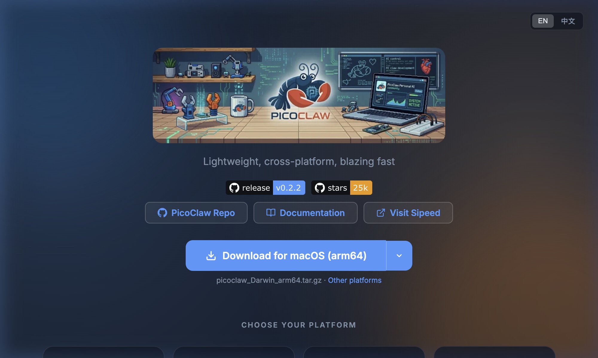 PicoClaw app screenshot
